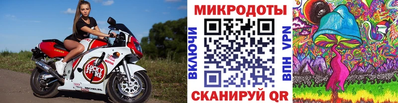 Псилоцибиновые грибы прущие грибы  где купить наркоту  Куртамыш 